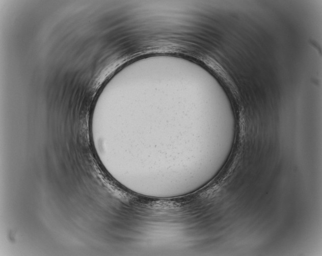 X0000102360842200808221714