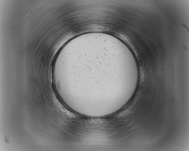 X0000102360843200808221714