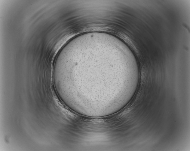 X0000102360844200808221714