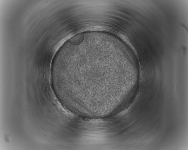 X0000102360845200808221714