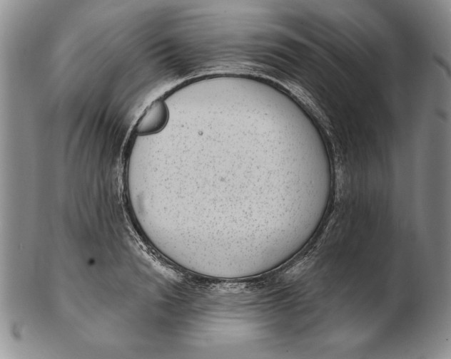 X0000102360846200808221714