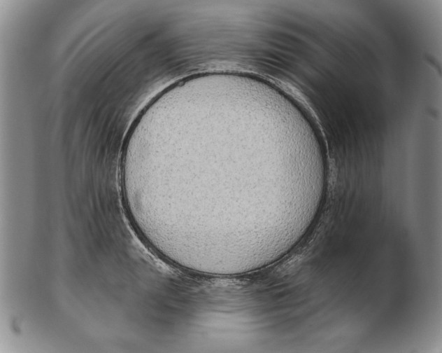 X0000102360847200808221714