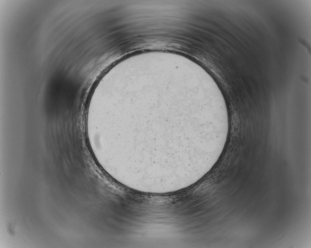 X0000102360848200808221714