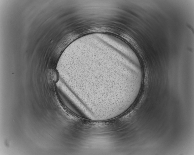 X0000102360849200808221714