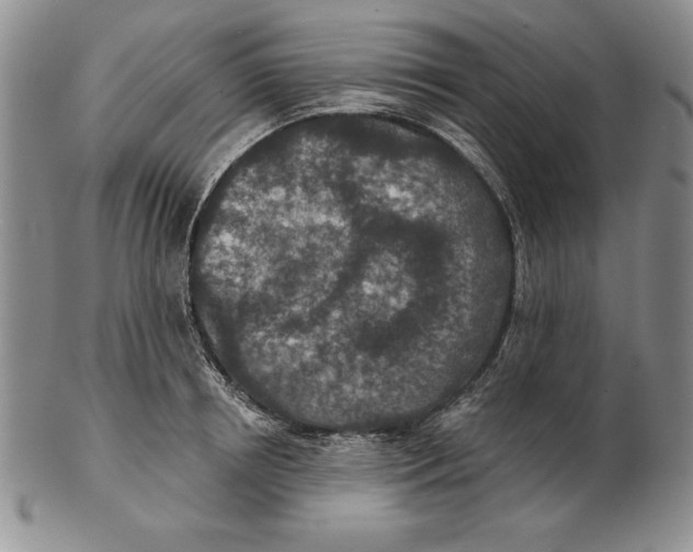 X0000102360850200808221714