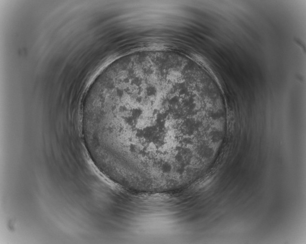 X0000102360851200808221714