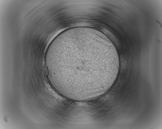 X0000102360852200808221714