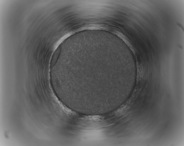 X0000102360853200808221714