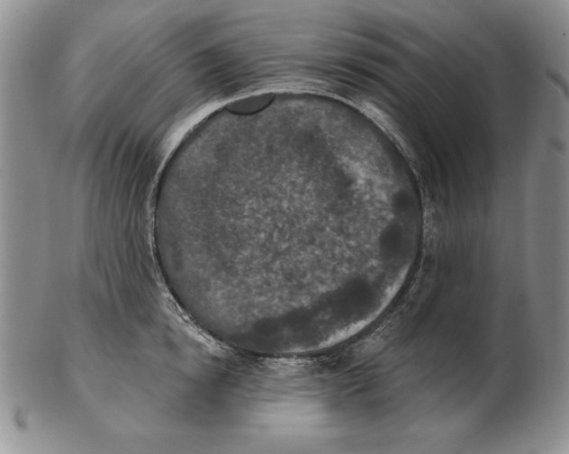 X0000102360854200808221714