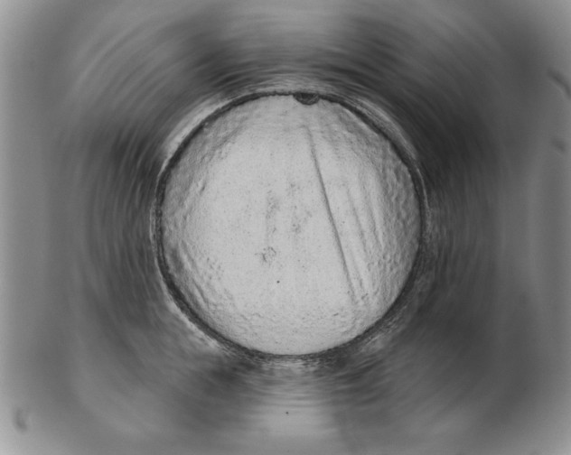 X0000102360855200808221714