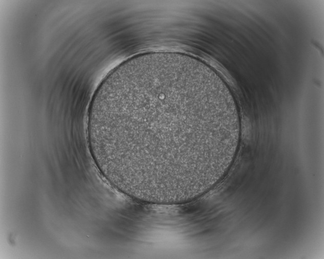 X0000102360856200808221714