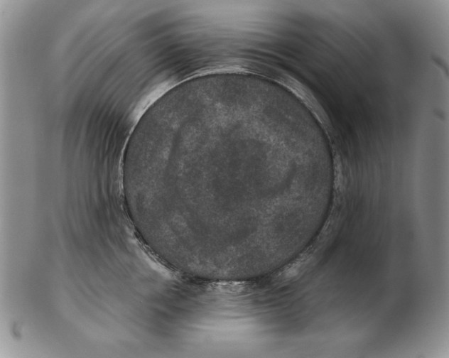 X0000102360858200808221714