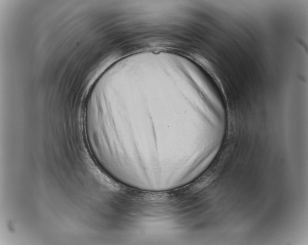 X0000102360859200808221714