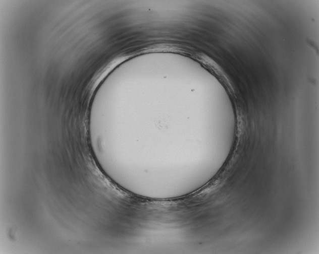 X0000102360860200808221714