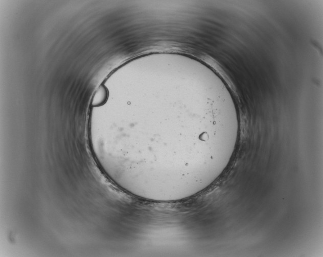 X0000102360861200808221714