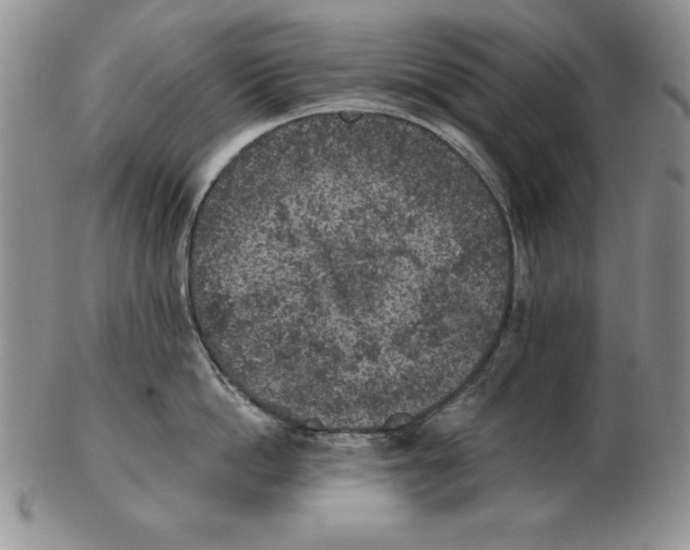 X0000102360862200808221714