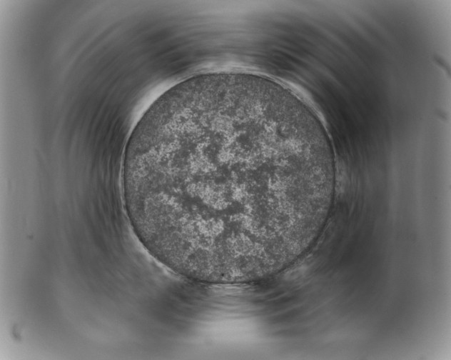 X0000102360863200808221714