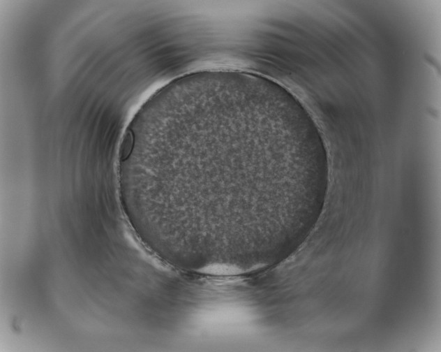 X0000102360864200808221714