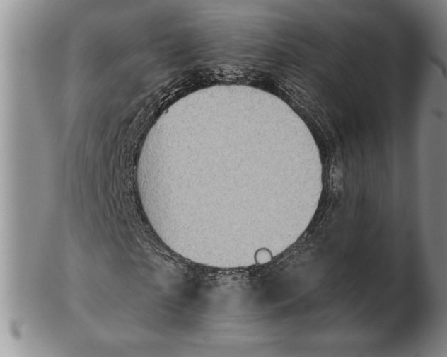 X0000102360865200808221714