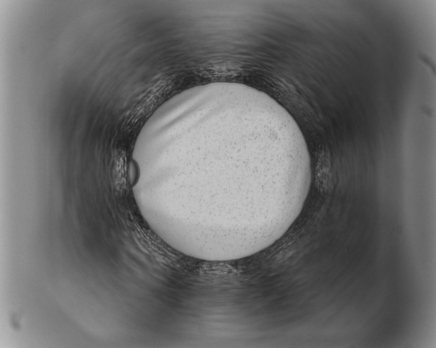 X0000102360866200808221714