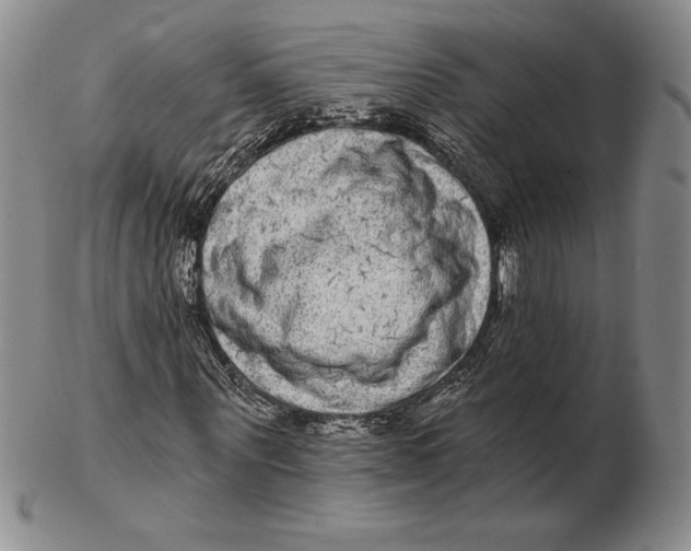 X0000102360867200808221714