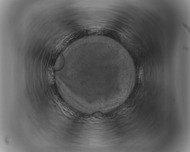 X0000102360868200808221713