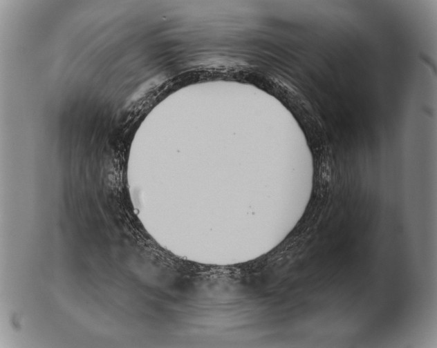 X0000102360869200808221713