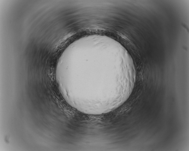 X0000102360870200808221713