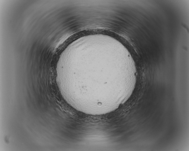 X0000102360871200808221713