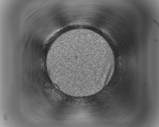 X0000102360872200808221713