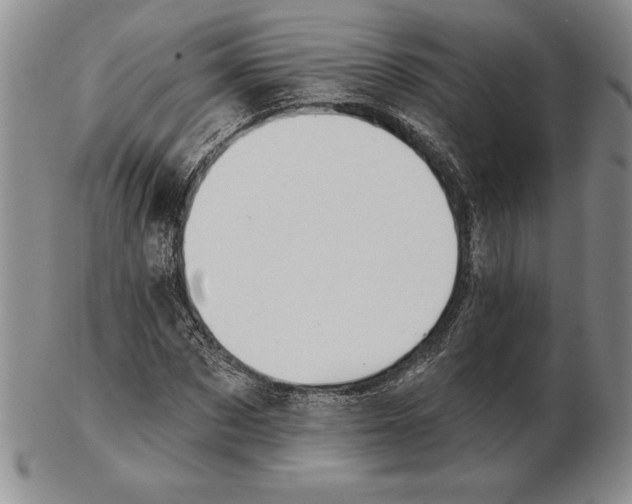 X0000102360873200808221713