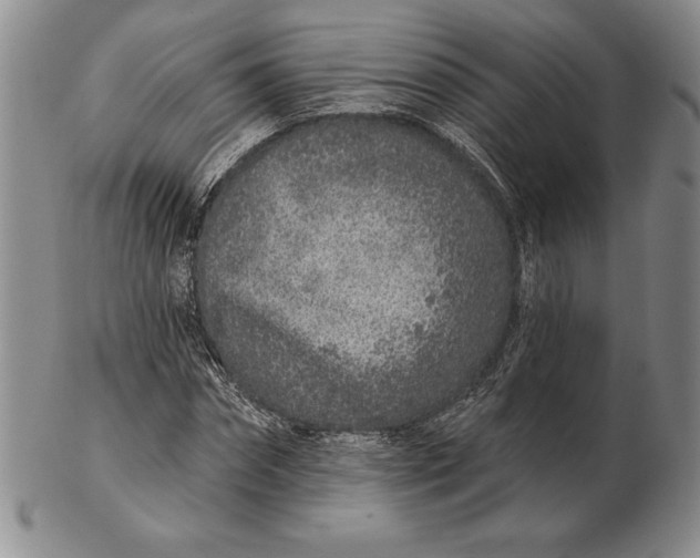 X0000102360874200808221713