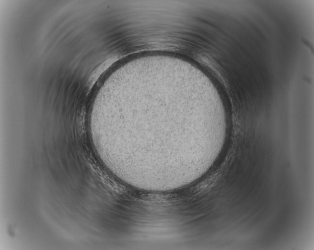 X0000102360875200808221713