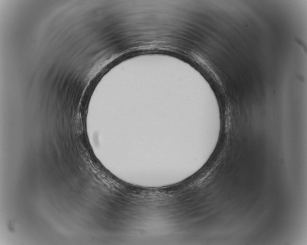 X0000102360876200808221713