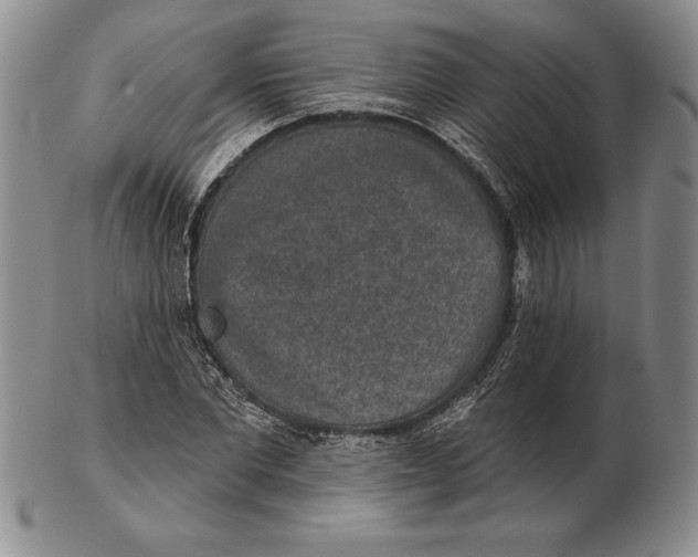 X0000102360877200808221713