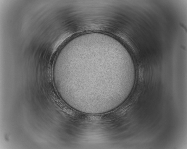 X0000102360878200808221713