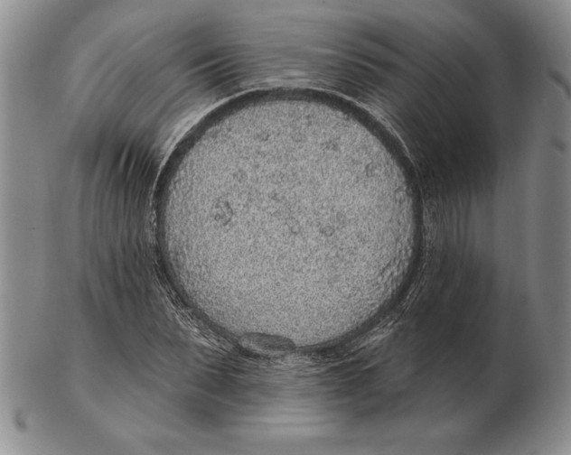 X0000102360879200808221713