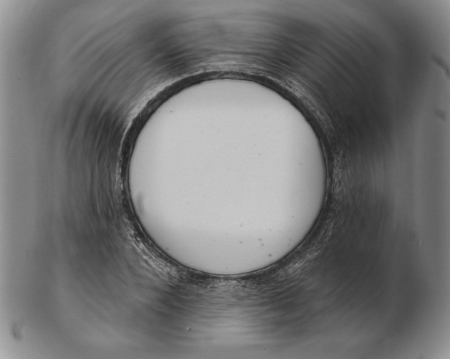 X0000102360880200808221713