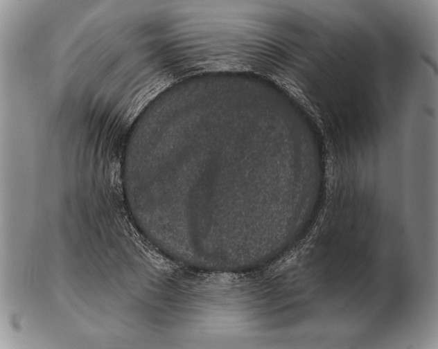 X0000102360881200808221713