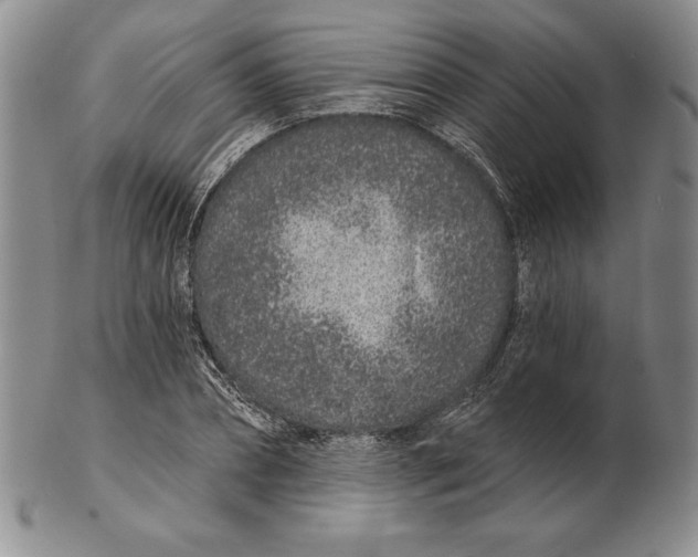 X0000102360882200808221713