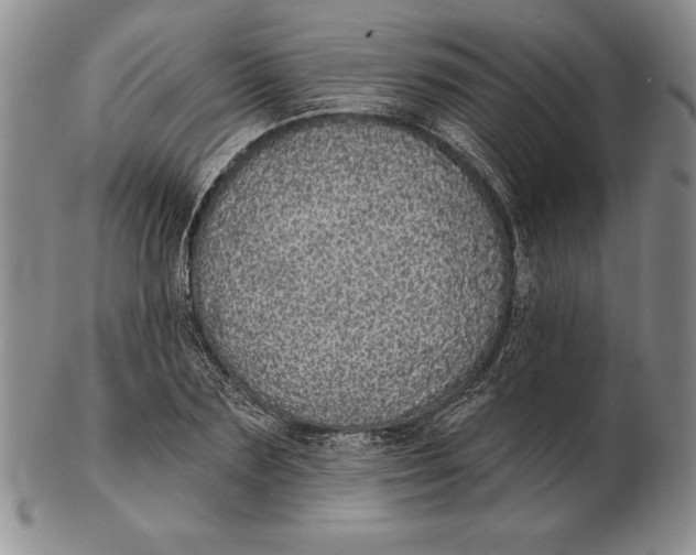 X0000102360883200808221713