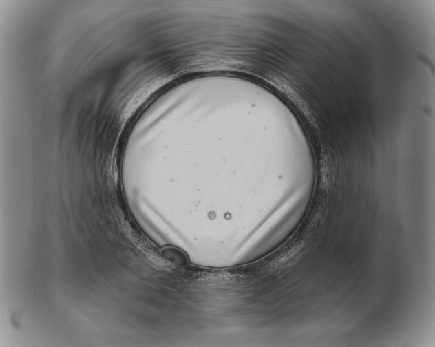 X0000102360885200808221713