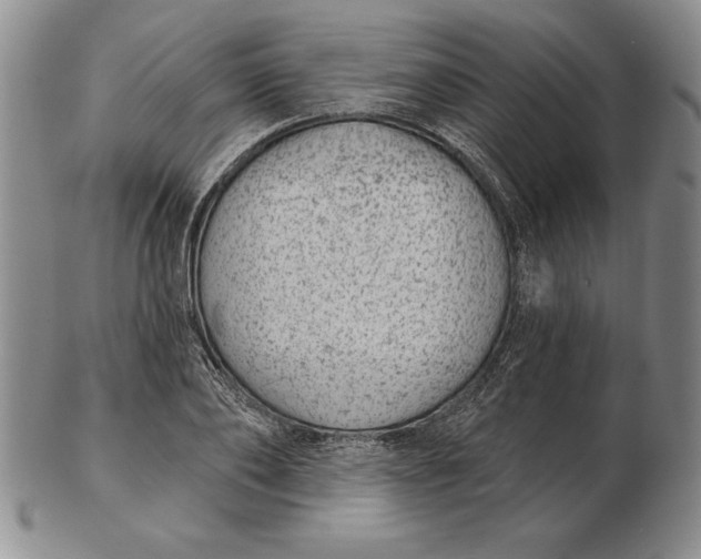 X0000102360886200808221713