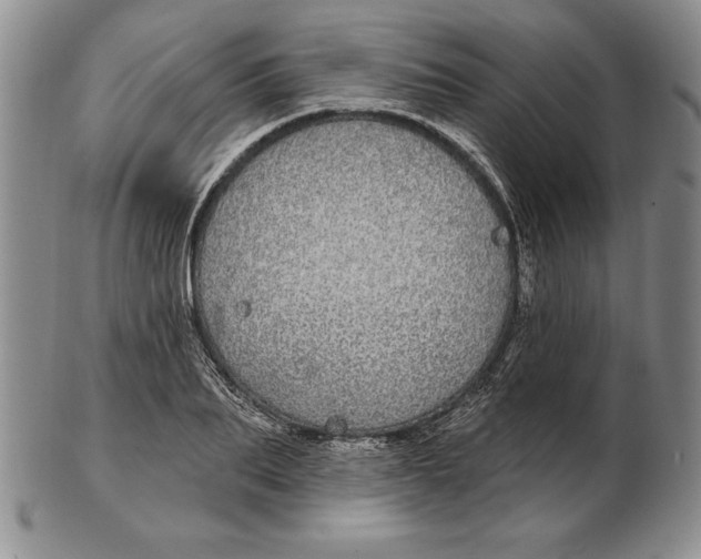 X0000102360887200808221713