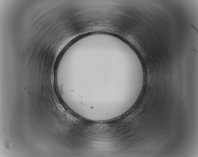 X0000102360888200808221713