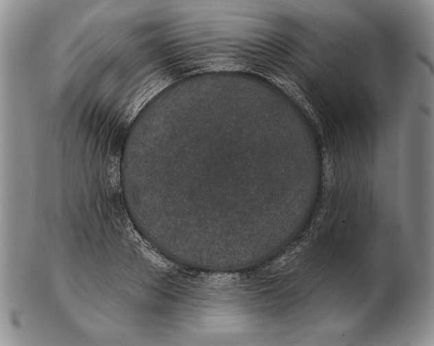 X0000102360889200808221713