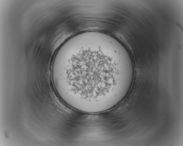 X0000102360890200808221713