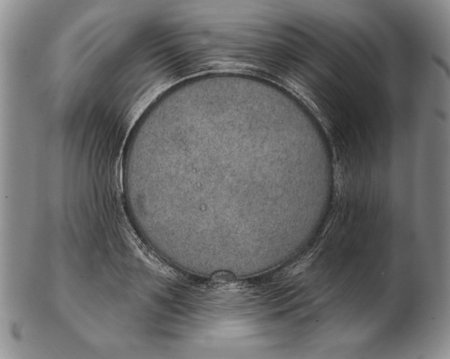 X0000102360891200808221713