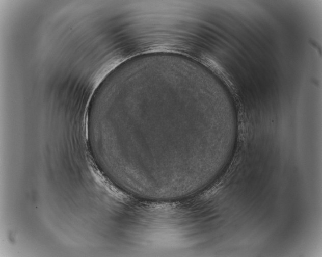 X0000102360892200808221713