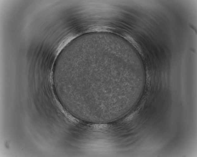 X0000102360893200808221713